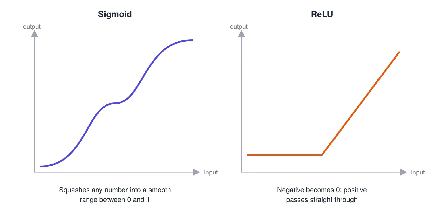 Sigmoid squashes any input into a smooth range between 0 and 1; ReLU turns negative numbers into 0 and passes positive numbers through unchanged