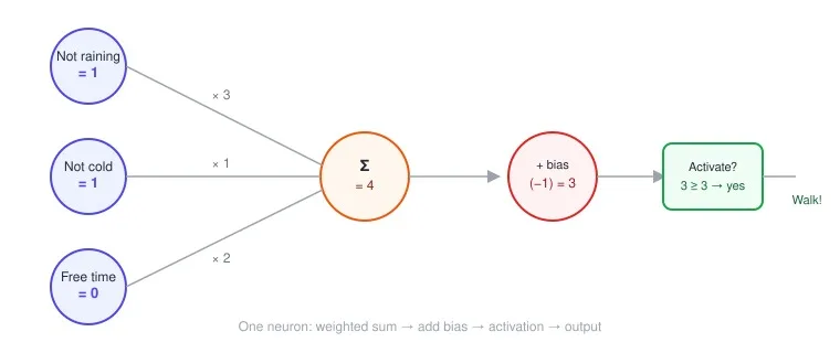 A single neuron: inputs are weighted, summed, adjusted by a bias, then passed through activation to produce an output